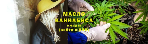 дживик Богородск