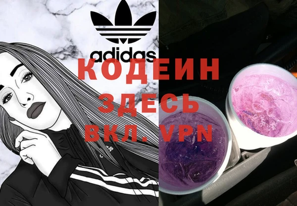 дживик Богородск