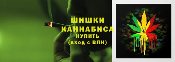 дживик Богородск
