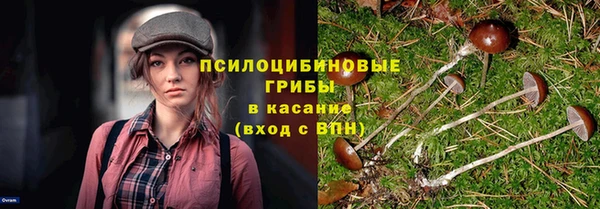 кокс Богданович