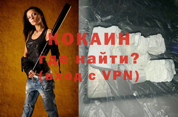 дживик Богородск