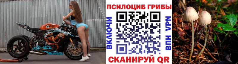 Псилоцибиновые грибы мицелий  Ессентуки 